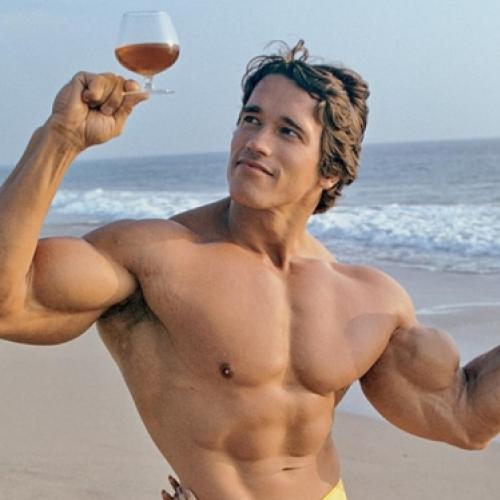 Arnold Schwarzenegger: leia sobre carreira e melhores filmes