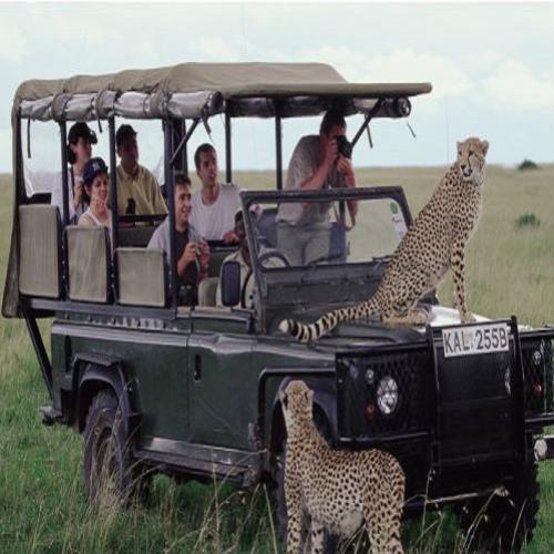 7 Motivos Para Realizar um Safari no Quenia
