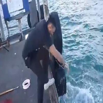 omem mostra como fisgar um peixe enorme na costa da Austrália