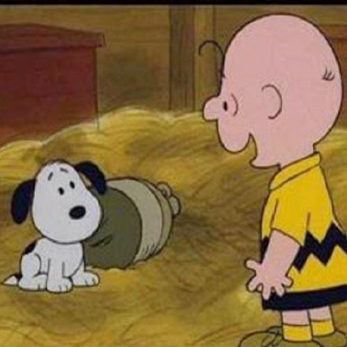 Quando Charlie Brown conheceu Snoopy