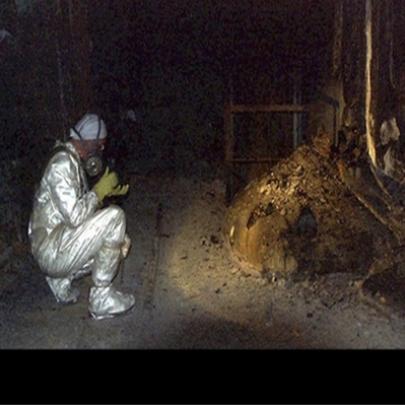 Criatura bizarra nasce em Chernobyl devido à radioatividade
