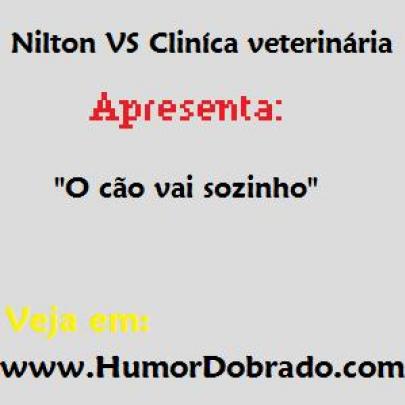 Vídeo engraçado - Nilton VS Cliníca veterinária: 