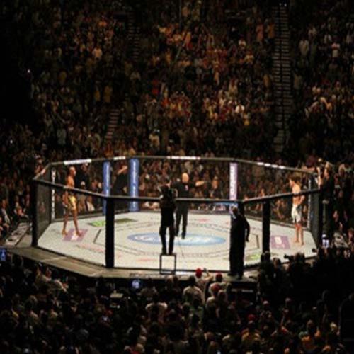 A história do UFC, saiba como a Zuffa se tornou a maior empresa de MMA