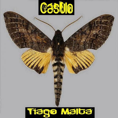 Casulo - Tiago Malta
