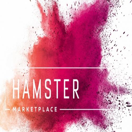 Hamster marketplace lança a pré-venda do seu token: a plataforma de va