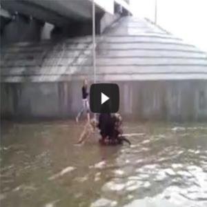 Cachorro ajudando cadeirante na enchente