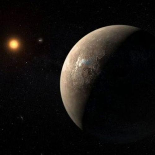 Planeta semelhante à Terra nos arredores de Próxima Centauri