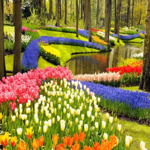 10 dos jardins mais lindos do mundo por onde você adoraria passear