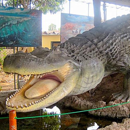 Purussaurus - um dos maiores crocodilianos que já viveu na terra