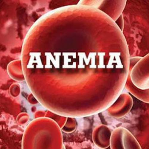Alimentos bons para acabar com a anemia