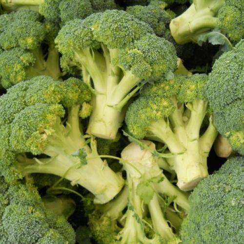 10 benefícios do brócolis para sua saúde VEJA