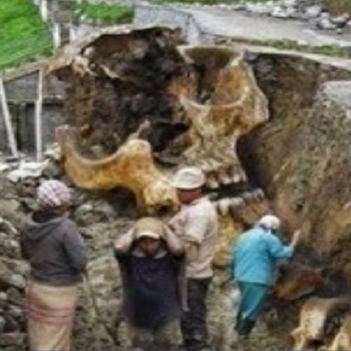  Encontrados esqueletos humanos gigantes durante escavações! 