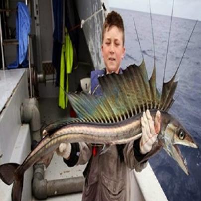 Peixe com aparência pré-histórica  cara de monstro marinho é capturado
