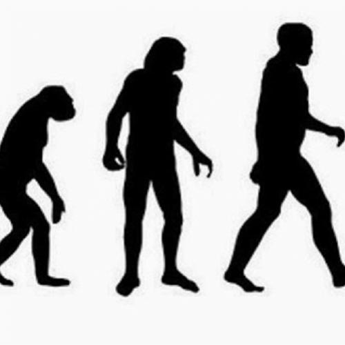 9 fatos curiosos acerca da evolução humana