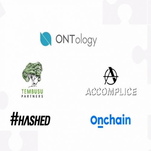 Ontology firma parceria com os codesenvolvedores de ecossistema Tembus