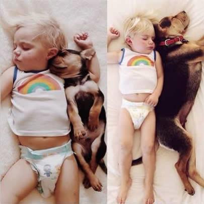 Menino e cachorro que dormem juntos