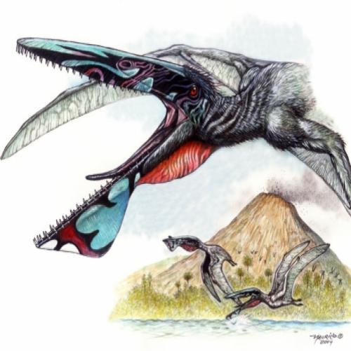 Brasileiros descobrem pterossauro que lembra 'dragão' do filme Avatar