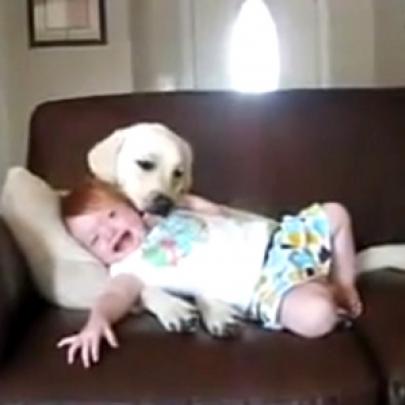 Atenção: nunca deixe seu bebê perto de cachorro