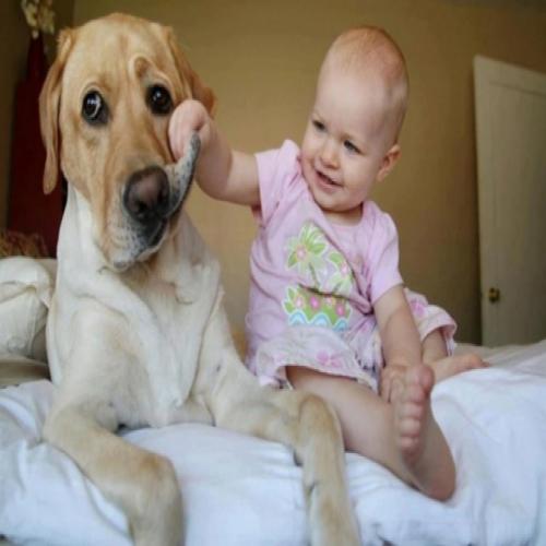 Bebês fotografados com seus cachorros fazem show de fofura