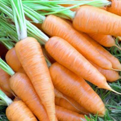 14 Benefícios da Cenoura para a Saúde