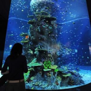 O maior aquário do mundo!