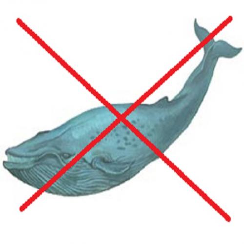 Fuja da Baleia Azul - O que você precisa saber...