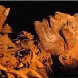 Mitos com 2400 anos sobre a mumificação desfeitos