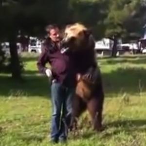 Você não vai acreditar no que esse urso vai fazer