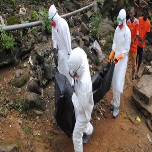 O que os cientistas escondem sobre o Ebola 