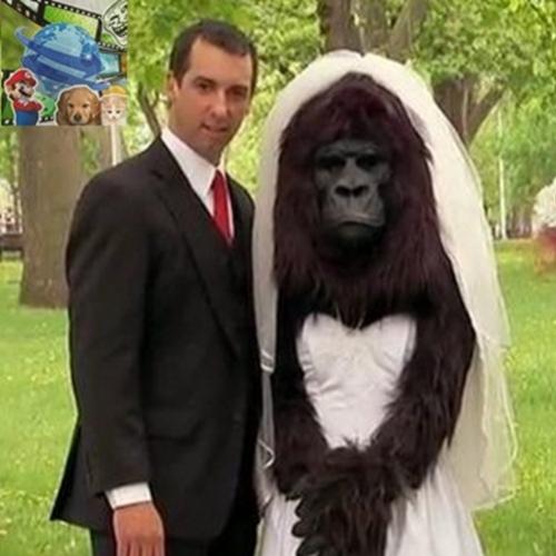 Pegadinha da noiva gorila
