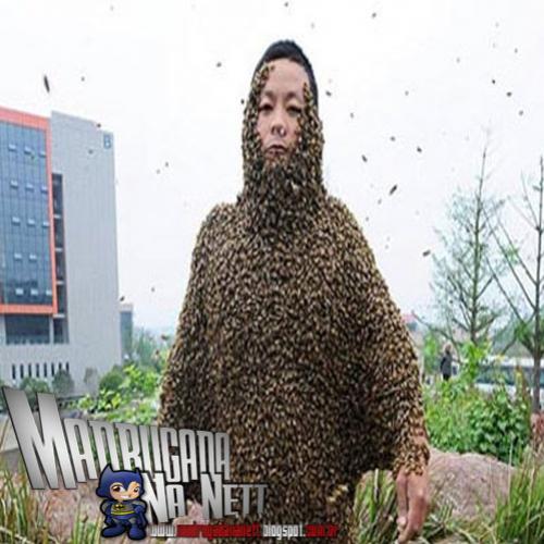 Chinês bate recorde ao ficar coberto por mais de um milhão de abelhas