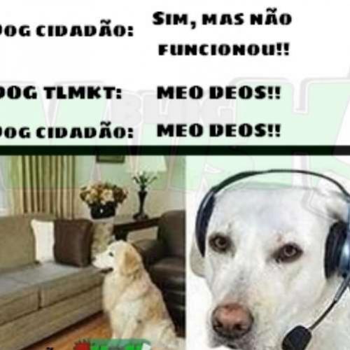 SOS Canino