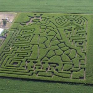 Homem cria labirintos temáticos em plantações nos EUA