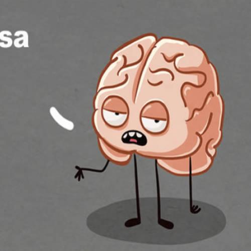 Como funciona o seu cérebro