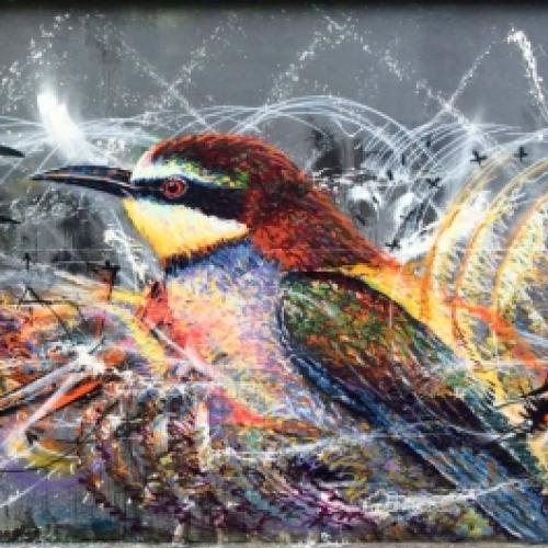 Street Art por L7M – Pinturas de belas aves com cores e detalhes incrí