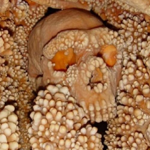Esqueleto de Neandertal é encontrado por cientistas!