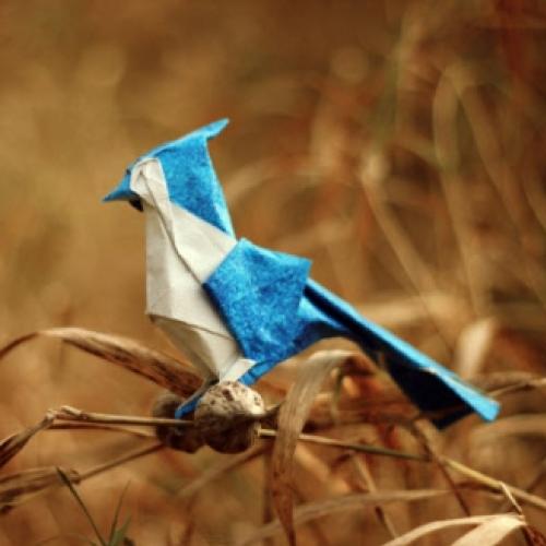 Incríveis animais feitos com origami