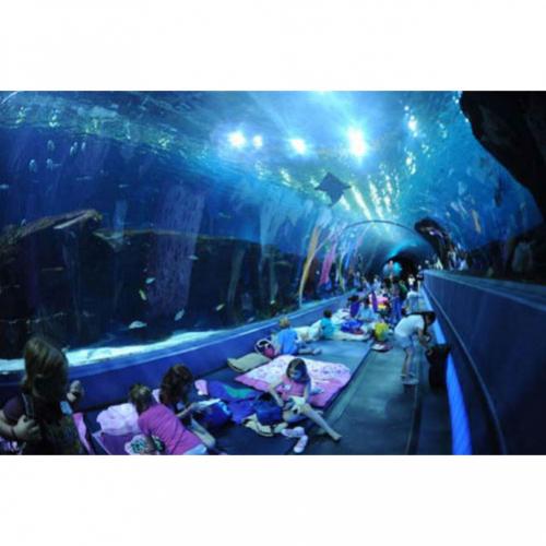 AquaRio: o maior aquário da América do Sul esta no Brasil