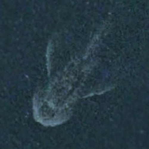 Satélite mostram uma forma estranha no famoso Lago Ness