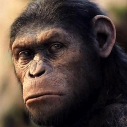 Planeta dos Macacos: A Origem. Frases, fotos e trailer musical.