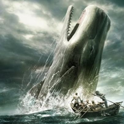 8 fatos estranhos e surpreendentes sobre as baleias