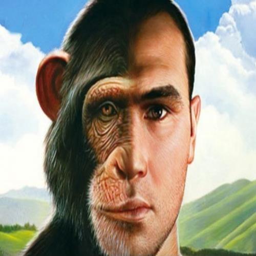 Encontrado estranho macaco dotado de feições humanas