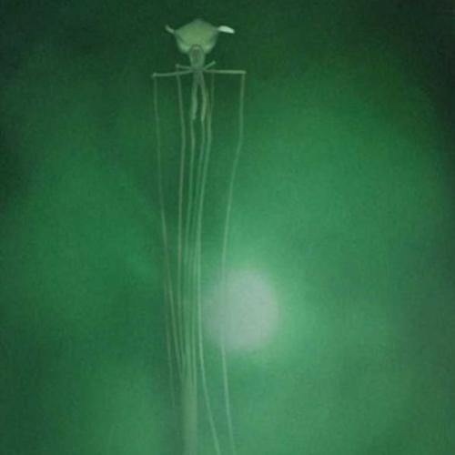 O Monstrengo fundo do mar parece um alien e pode ser parente dos dino