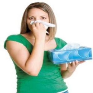 Como evitar alergia da rinite