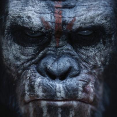 Os macacos estão prontos pra guerra em Dawn of the Planet of the Apes