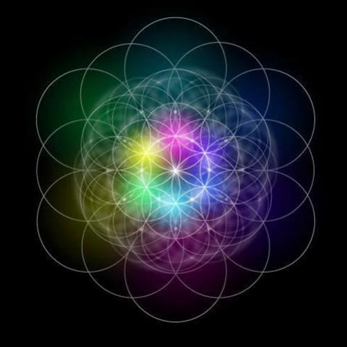 Geometria Sagrada, a Flor da Vida e a Linguagem da Luz