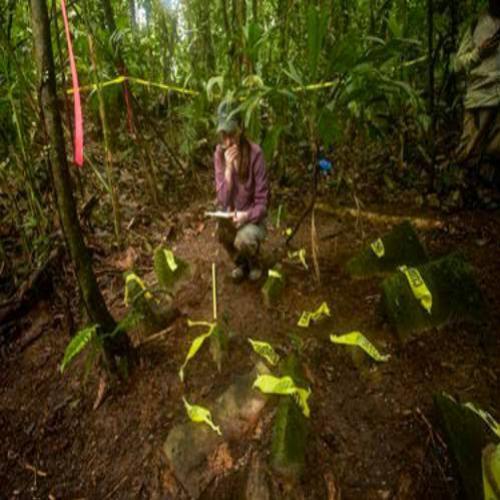Lendária cidade perdida descoberta na selva de Honduras