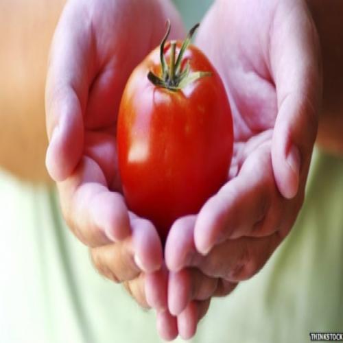 Estudo recomenda tomate para prevenir câncer de próstata