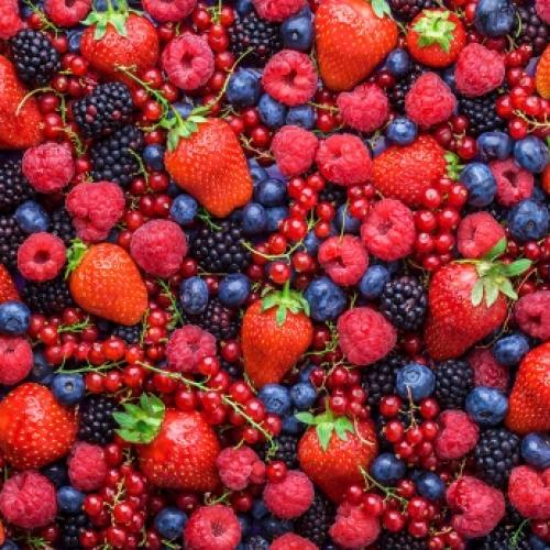 Aproveite a época e os benefícios das frutas vermelhas