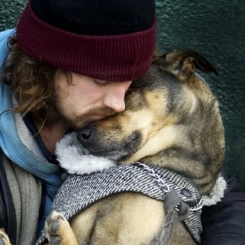 A prova de que o amor dos cães não tem preço (21 fotos)